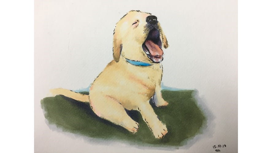 Copy of somgene 9H drool