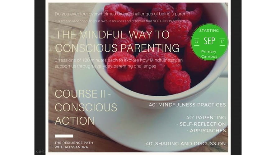 Introductory Session 892017Page06