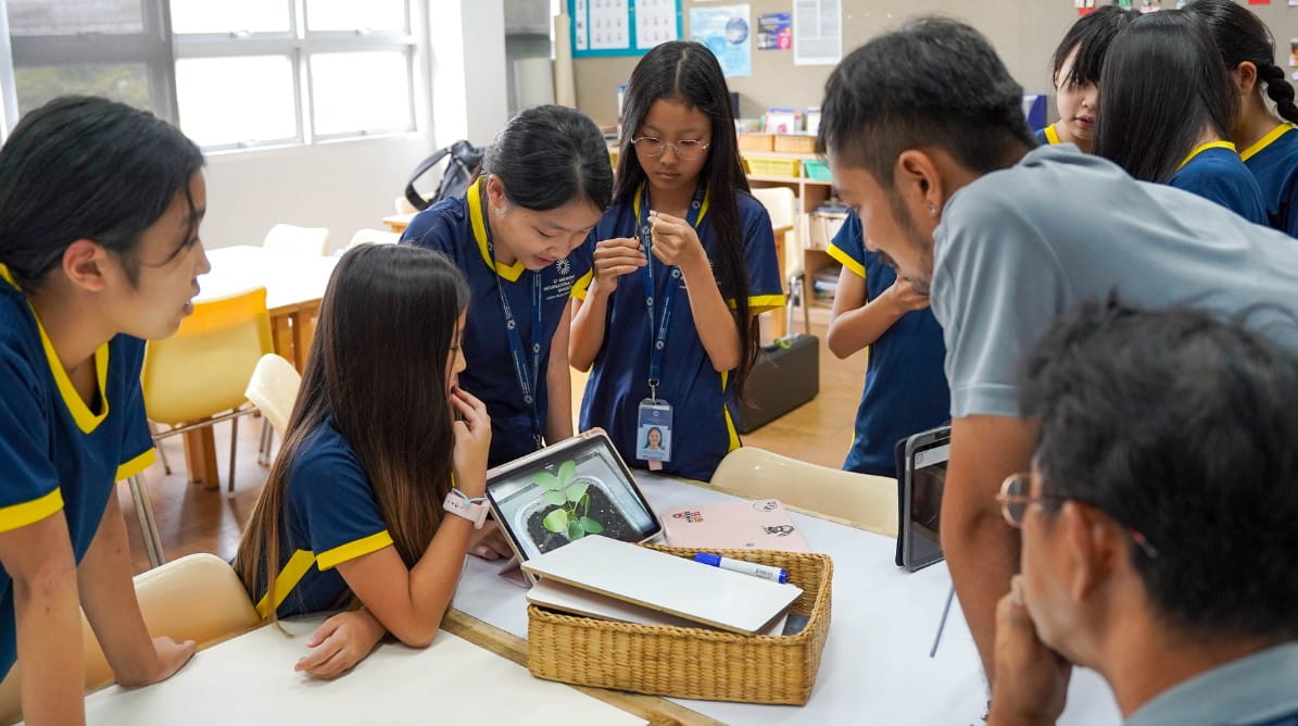 Year 7 Japanese class students create a rice paddy field on campus, celebrating Earth Day 2025 - Rice paddy field