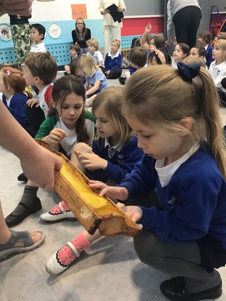 Year 1 Busy Bees Week | The British School Warsaw - Year 1