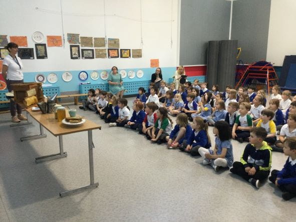 Year 1 Busy Bees Week | The British School Warsaw - Year 1