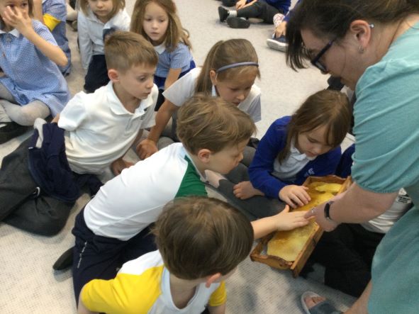 Year 1 Busy Bees Week | The British School Warsaw - Year 1