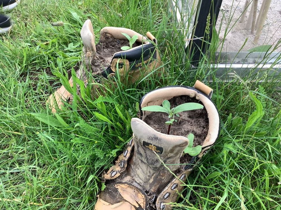 Year 5 and 6 iPad Photography Club - Year 5 and 6 iPad Photography Club