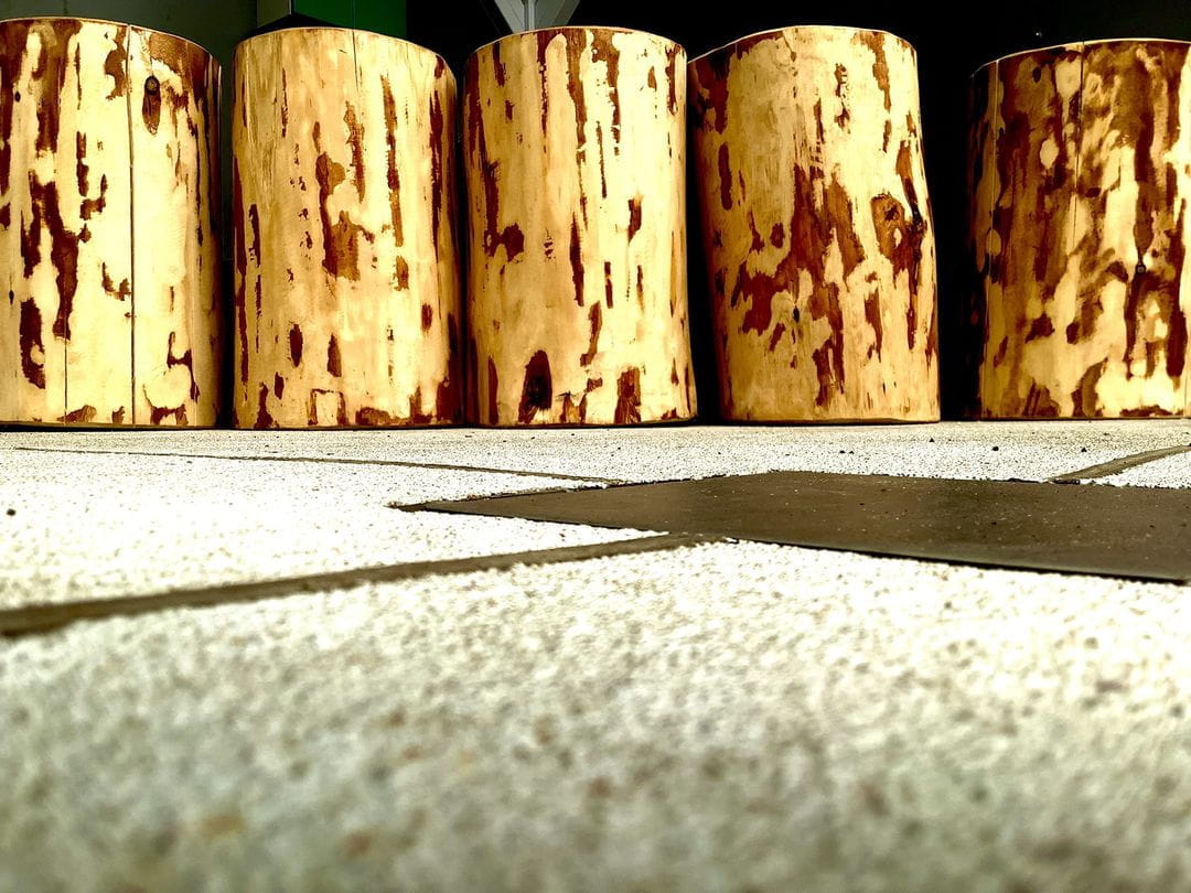 Year 5 and 6 iPad Photography Club - Year 5 and 6 iPad Photography Club