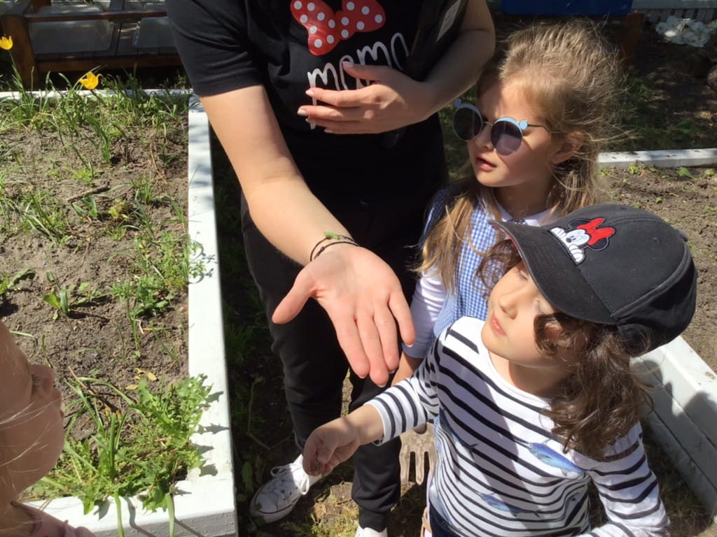 Growing Things - Growing Things