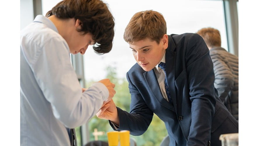 Supporting Success! Student Reflections and Advice | TBS Warsaw - supporting-success-student-reflections-and-advice