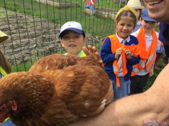 Year 1 Trip - Year 1 Trip